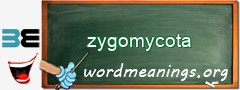 WordMeaning blackboard for zygomycota